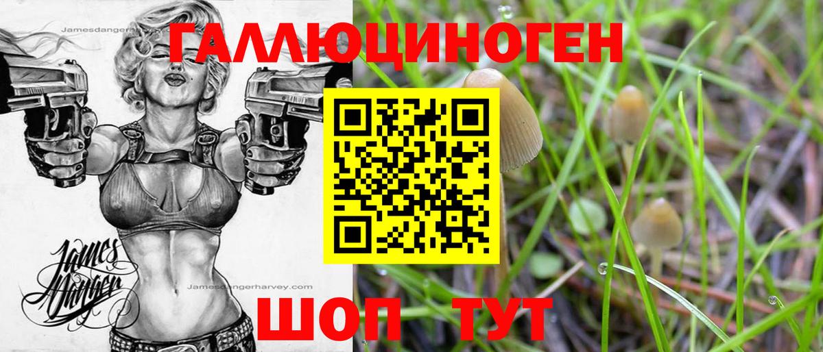 Псилоцибиновые грибы ЛСД Электросталь